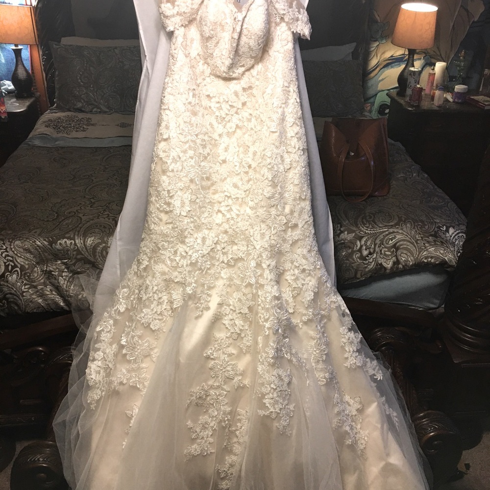 Designer gown.  Eddy k mermaid dress.  Lace embroidery over lay size 16